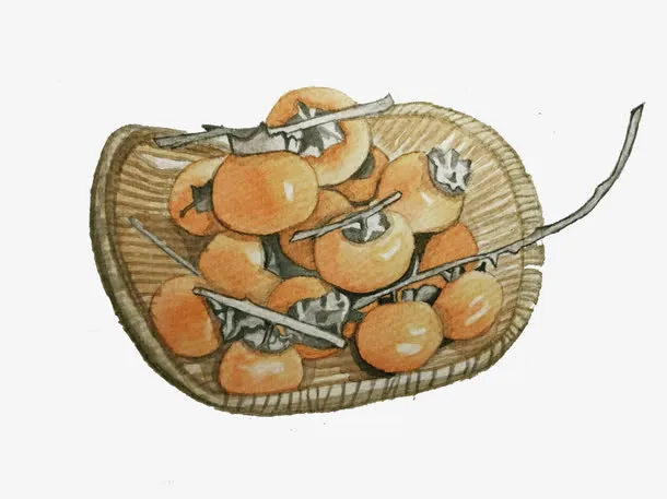 手绘柿子免抠