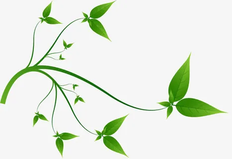 精美绿色环保主题标签矢量素材免抠 精美绿色环保主题标签矢量素材免抠