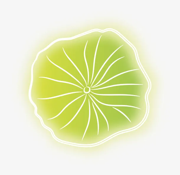 卡通立夏荷叶装饰插画免抠