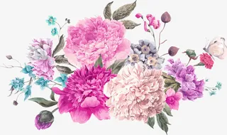 盛开的牡丹花免抠