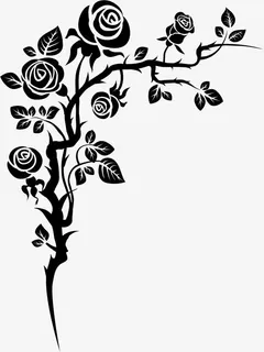花卉免抠 花卉免抠