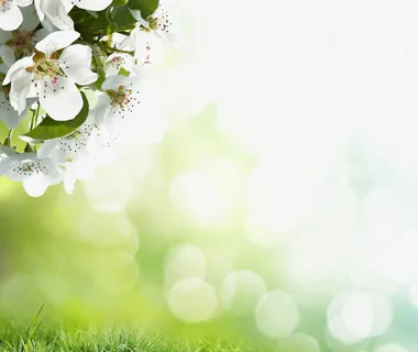 晕染的世界免抠