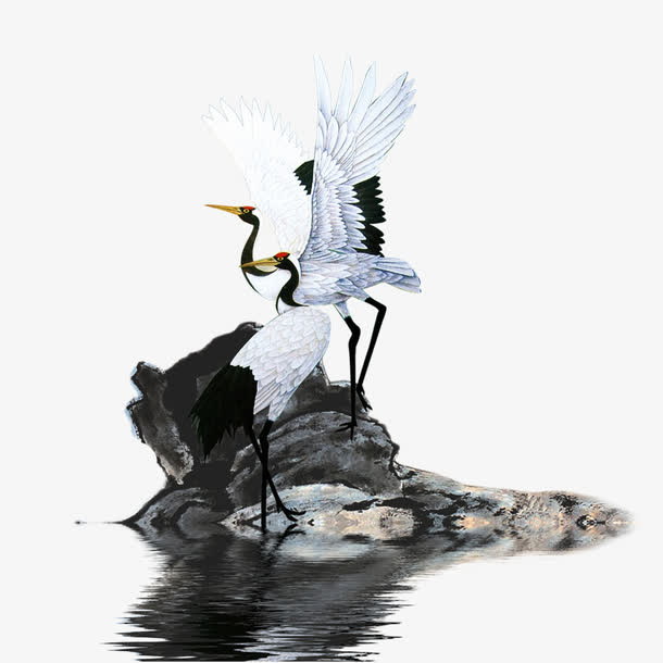 丹顶鹤免抠