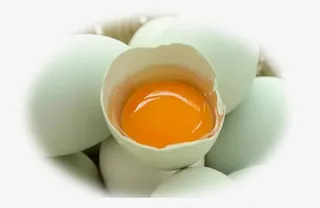 绿皮鸡蛋图片免抠