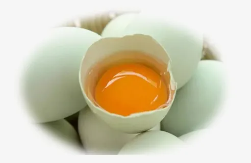 绿皮鸡蛋图片免抠 绿皮鸡蛋图片免抠