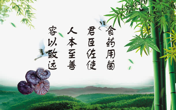 中国风名片免抠