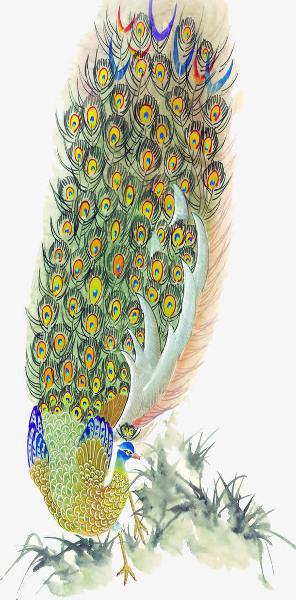 孔雀免抠