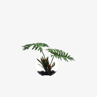 欧美流行插花 绿植物 鲜花软装免抠