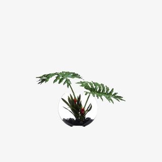 欧美流行插花 绿植物 鲜花软装免抠