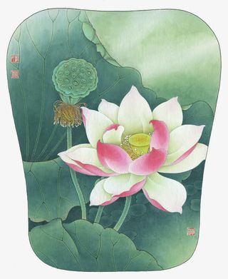 荷花图案扇面免抠