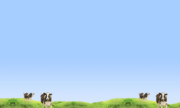 蓝天草地奶牛美景免抠
