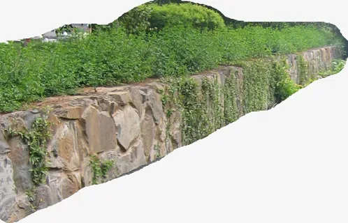 山勘山的小草免抠