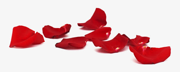 红色花瓣玫瑰花瓣免抠