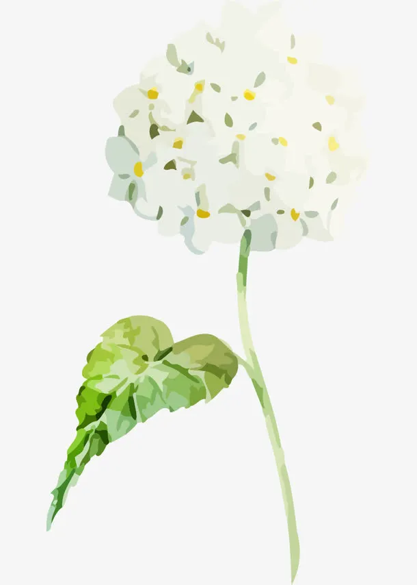 水彩绣球花免抠