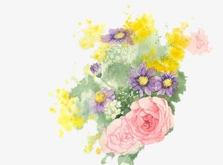 手绘花束免抠