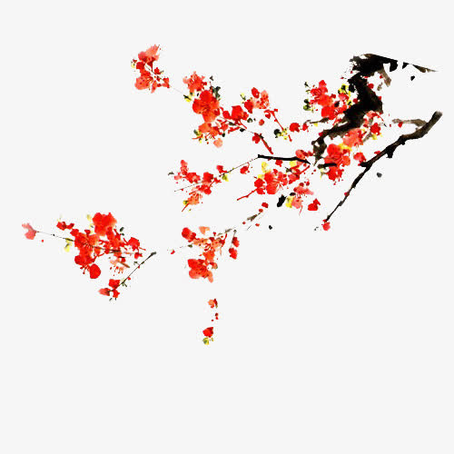 手绘梅花 右边角免抠