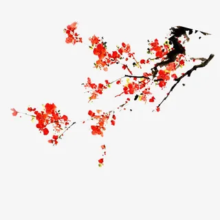 手绘梅花 右边角免抠