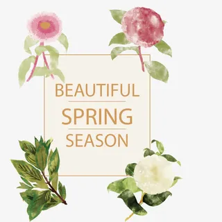 矢量艺术绘画花纹免抠