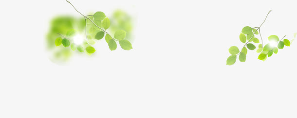 绿色梦幻春天植物树叶免抠