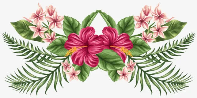 绿叶花朵手绘边框免抠