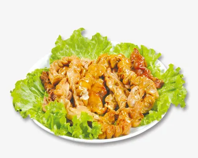 红烧肥肠免抠 红烧肥肠免抠