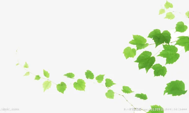 绿色春天树叶梦幻免抠