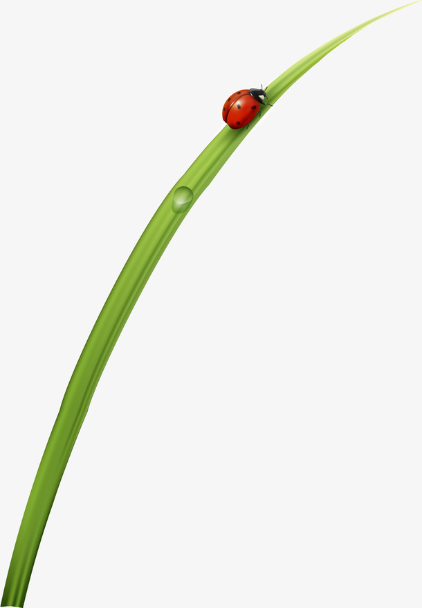 绿色简约小草瓢虫免抠
