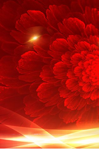 红色大气牡丹花开高清