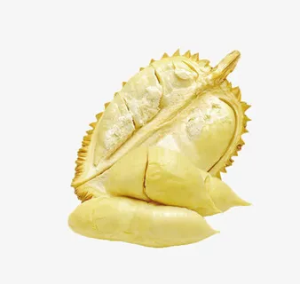 上海榴莲王免抠