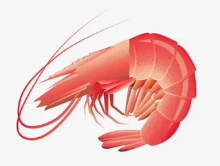 生鲜电商和大数据生鲜同城汇免抠