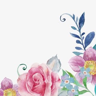 水彩花卉免抠