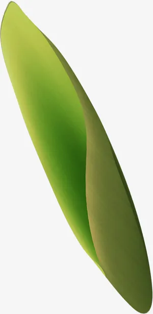 清凉夏日手绘树叶免抠