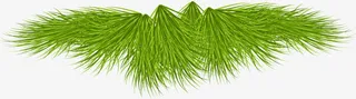 圣诞节绿色松叶免抠