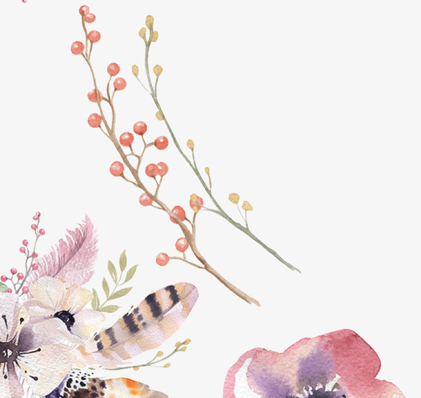 彩绘花和羽毛免抠