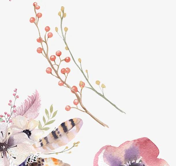 彩绘花和羽毛免抠