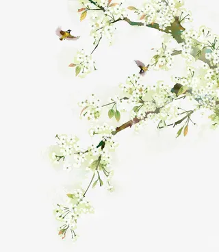 手绘水彩鸟儿枝头飞舞免抠