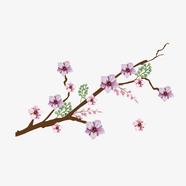 矢量花树免抠