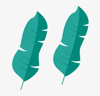 简约插画树叶免抠