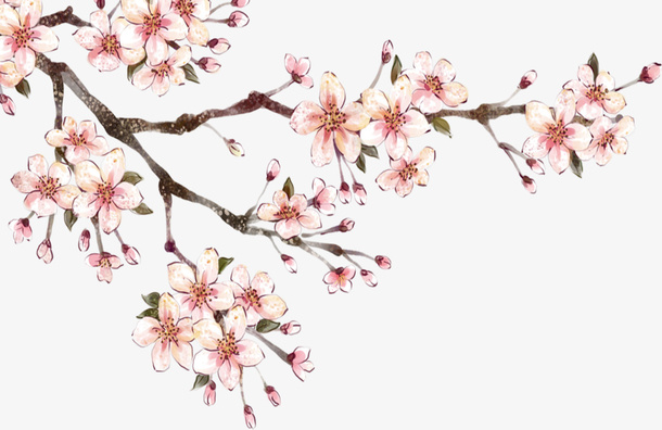 手绘桃花矢量图免抠