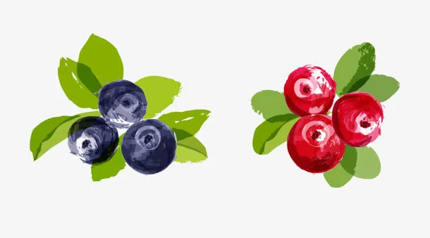 卡通手绘水彩蓝莓合集免抠