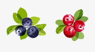 卡通手绘水彩蓝莓合集免抠