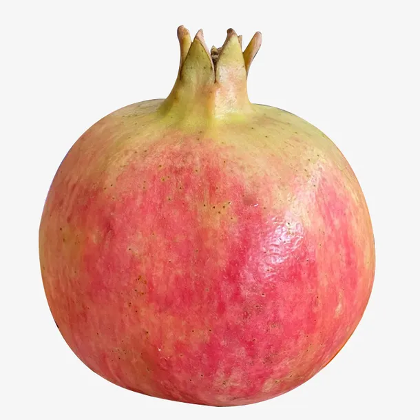 新鲜突尼斯石榴免抠