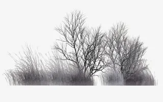 水墨冬季树木素材图片免抠