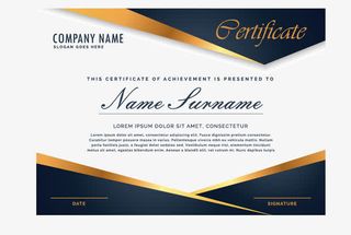 大气高端金色边框证书免抠