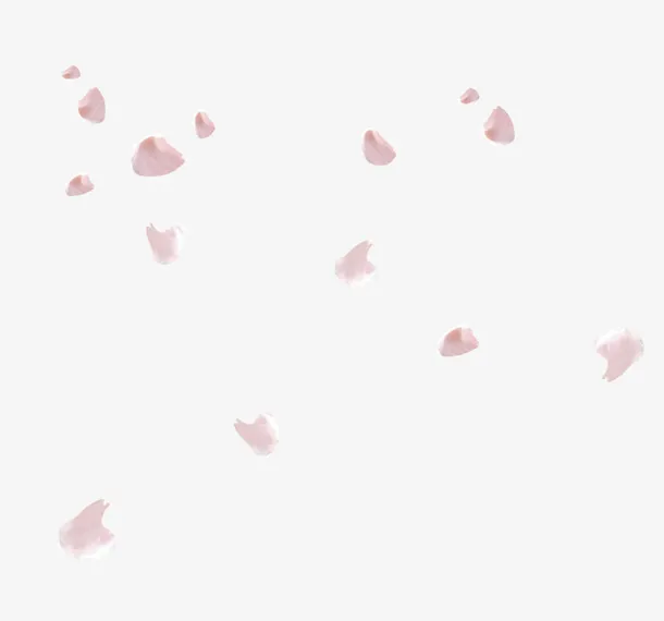 花瓣雨免抠
