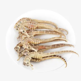 一碟海马干免抠