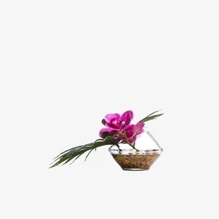 欧美流行插花 绿植物 鲜花软装免抠