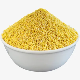 一碗金黄的新鲜有机小米实物免抠免抠