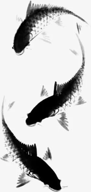 水墨画鲤鱼插画手绘免抠