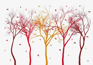 彩色风吹落叶免抠